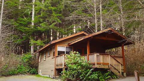 Evergreen Forest Cabins